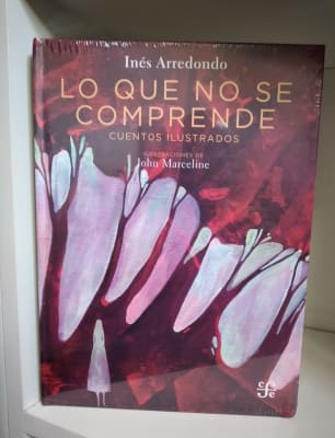LO QUE NO SE COMPRENDE. CUENTOS ILUSTRADOS