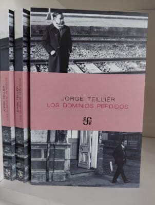 LOS DOMINIOS PERDIDOS. JORGE TEILLIER