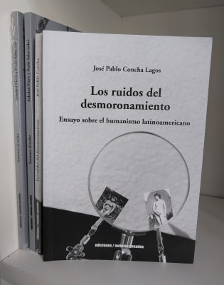 LOS RUIDOS DEL DESMORONAMIENTO