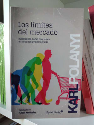 LOS LÍMITES DEL MERCADO