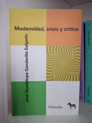MODERNIDAD, CRISIS Y CRÍTICA1