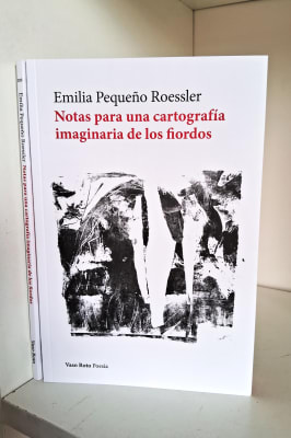 NOTAS PARA UNA CARTOGRAFÍA IMAGINARIA DE LOS FIORDOS1