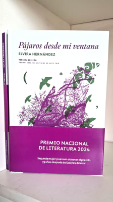 PÁJAROS DESDE MI VENTANA1