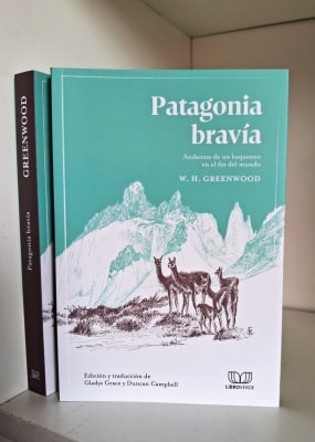 PATAGONIA BRAVÍA