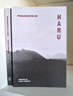PENSAMIENTOS DE HARU