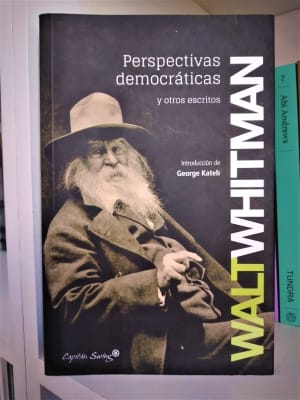 PERSPECTIVAS DEMOCRÁTICAS