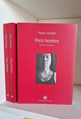 POCO HOMBRE. CRÓNICAS ESCOGIDAS. PEDRO LEMEBEL
