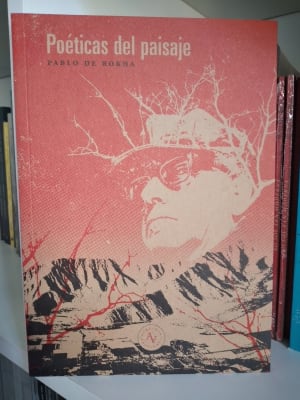 POÉTICAS DEL PAISAJE