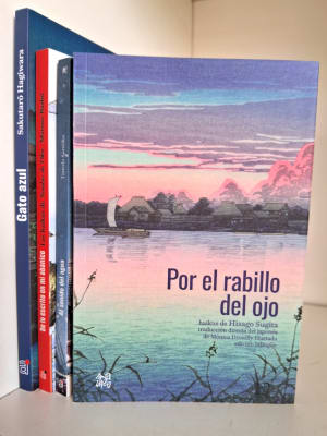 POR EL RABILLO DEL OJO