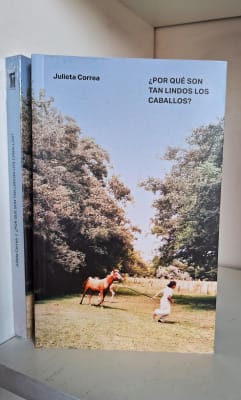 ¿POR QUÉ SON TAN LINDOS LOS CABALLOS?