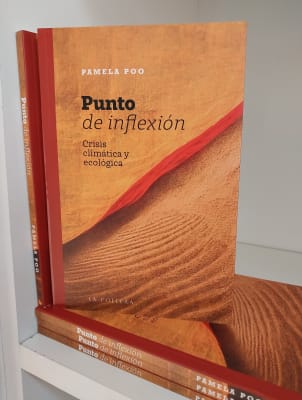PUNTO DE INFLEXIÓN. CRISIS CLIMÁTICA Y ECOLÓGICA
