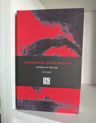 QEDESHÍM QEDESHÓTH. GONZALO ROJAS. ANTOLOGÍA