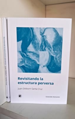 REVISITANDO LA ESTRUCTURA PERVERSA1