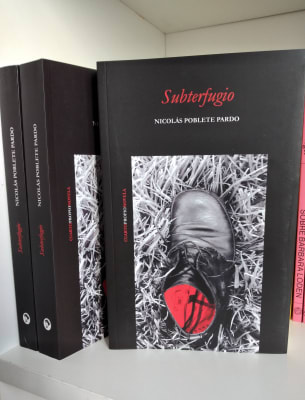 SUBTERFUGIO