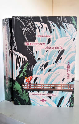 TÚ NO CONOCES NI MI TRISTEZA SIN FIN1