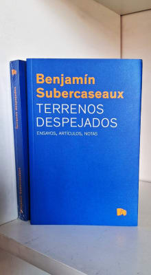 TERRENOS DESPEJADOS. ENSAYOS, ARTÍCULOS, NOTAS