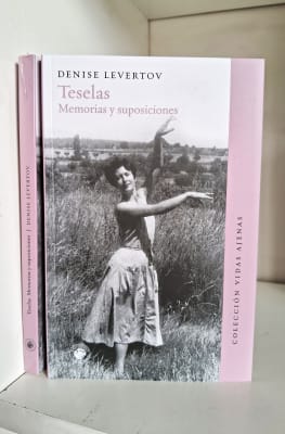 TESELAS1
