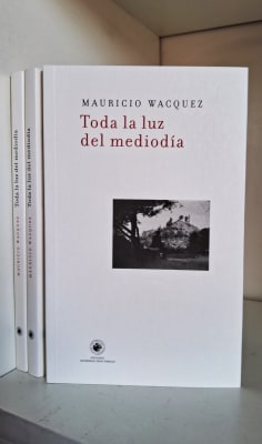 TODA LA LUZ DEL MEDIODÍA
