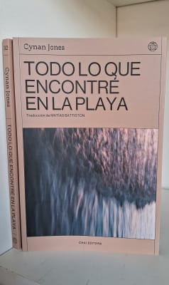 TODO LO QUE ENCONTRÉ EN LA PLAYA