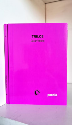 TRILCE. PEQUEÑO DIOS EDITORES