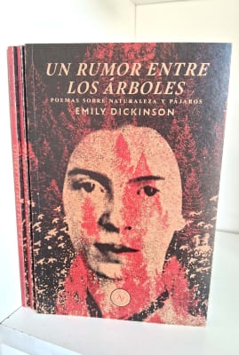 UN RUMOR ENTRE LOS ÁRBOLES