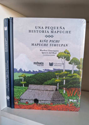 UNA PEQUEÑA HISTORIA MAPUCHE