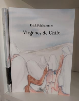 VÍRGENES DE CHILE