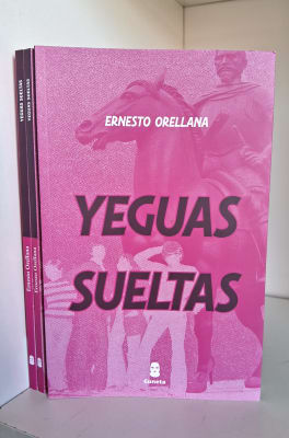 YEGUAS SUELTAS