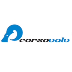 Corsovalv