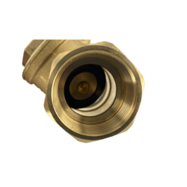 Válvula de Retención Cierre Clapeta Asiento de Goma10