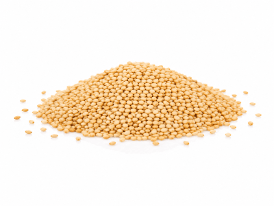 Semilla Sésamo Blanco Tostado