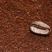 Café Musetti Expresso (Rossa Blend)