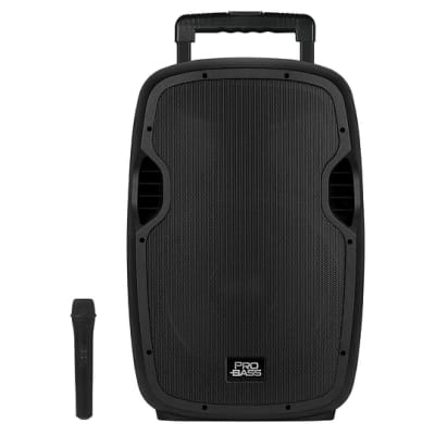 Caja Probass Underground 15 pulg. Recargable1