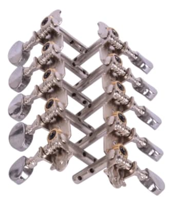 Clavijero Mandolina o Banyo 10 cuerdas