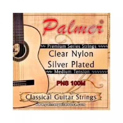 Cuerda guitarra nylon Palmer PNS 100M