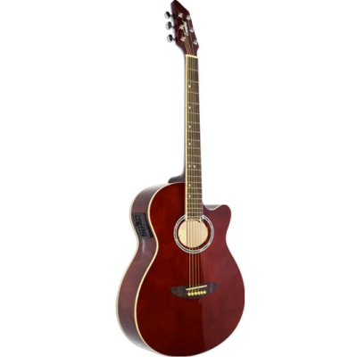 Guitarra electroacústica Leonard FG262eWA