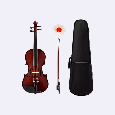 Violín 3/4 Stradella
