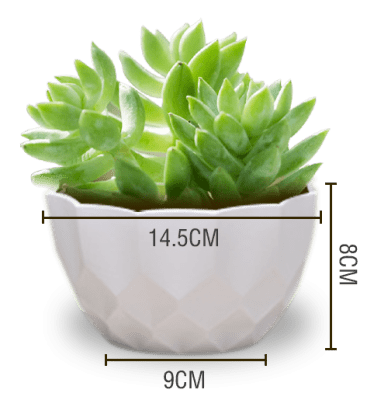 MACETERO PLASTICO TEXTURA LISO BLANCO 14.5X9X8CM | 12 UNID1