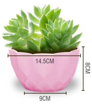 MACETERO PLASTICO TEXTURA LISO ROSADO 14.5X9X8CM | 12 UNID1