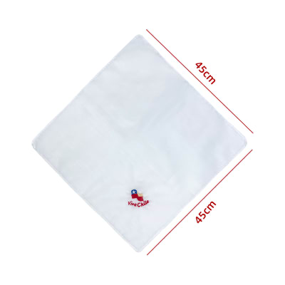 PAÑUELO FIESTAS PATRIAS BANDERA 45X45 CM1