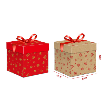 CAJA DE REGALO GRANDE 22X22X22 CM1