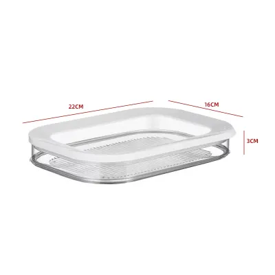 CONTENEDOR HERMÉTICO PARA FIAMBRE  22×16×3 CM1