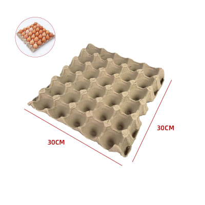 CARTON PORTA HUEVOS 30 UNIDADES1