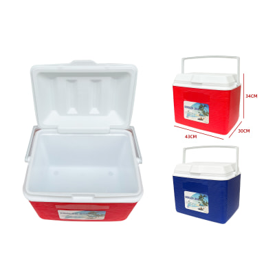 COOLER COLOR LISO 20L1