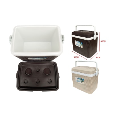 COOLER COLOR LISO 30L1