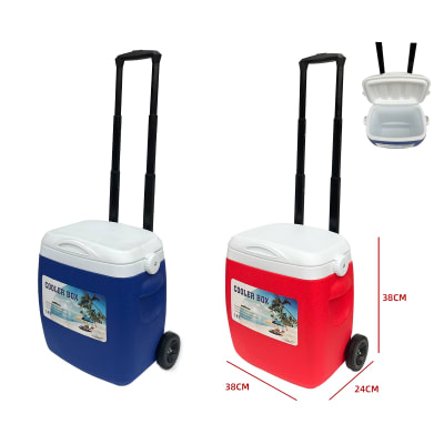 COOLER COLOR LISO CON RUEDAS 18L1