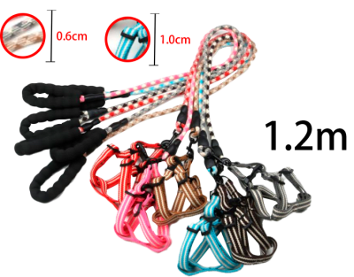 CORREA PARA MASCOTA COLOR LISO 1.2M / 1.0CM  0.6CM | 12 UNID1