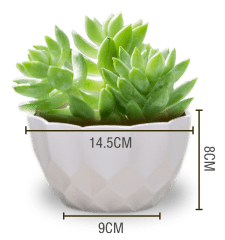 MACETERO PLASTICO TEXTURA LISO BLANCO 14.5X9X8CM | 12 UNID