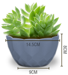 MACETERO PLASTICO TEXTURA LISO  14.5X9X8CM | 12 UNID