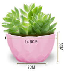 MACETERO PLASTICO TEXTURA LISO ROSADO 14.5X9X8CM | 12 UNID